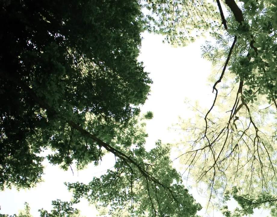 勝旺升公園景觀第一排