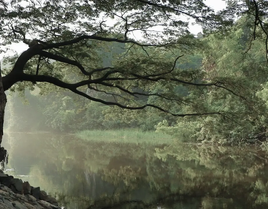 濕地公園第一排