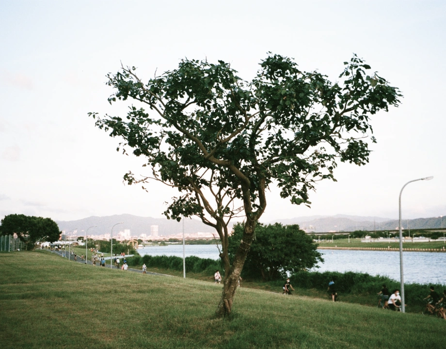 新潤RIVER ONE 雙北重劃區水岸住宅稀有