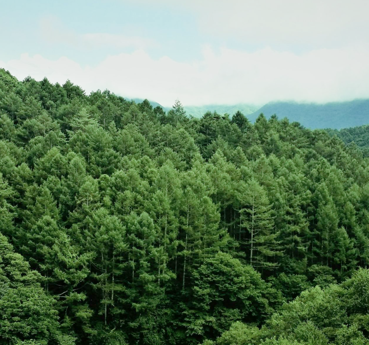 力麒寰山，面金面山享無限山景，環境靜謐宜居